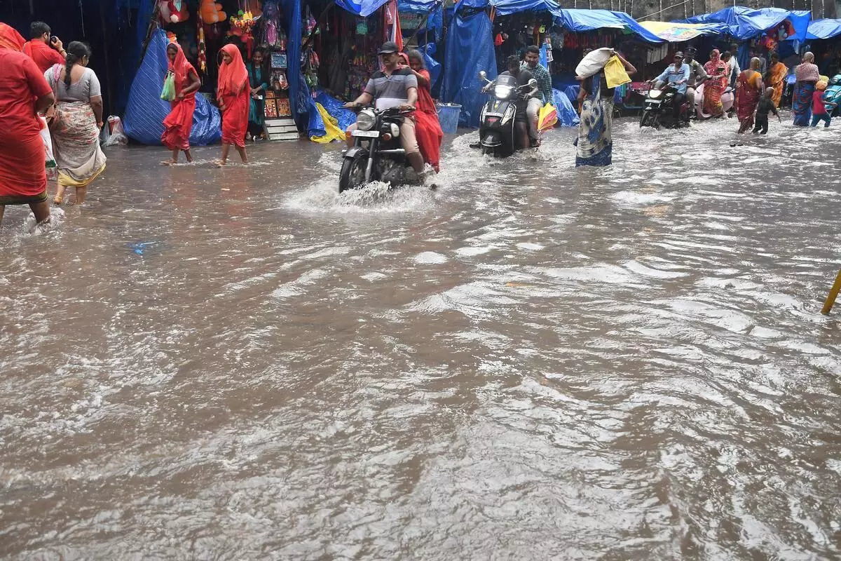 AP Disaster Management Authority: ఏపీలోని ఈ జిల్లాల్లో భారీ వర్షాలు.. AP Disaster Management Authority: ఏపీలోని ఈ జిల్లాల్లో భారీ వర్షాలు..