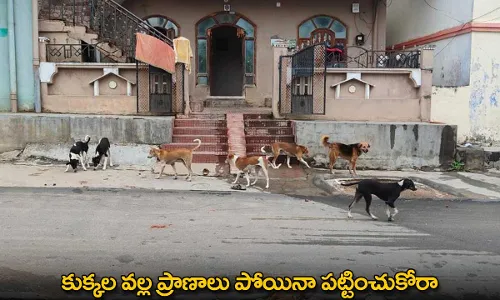 Dogs : కుక్కల వల్ల ప్రాణాలు పోయినా పట్టించుకోరా Dogs : కుక్కల వల్ల ప్రాణాలు పోయినా పట్టించుకోరా