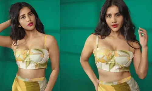 Nabha Natesh : నభా నటేష్ కు షాక్ ఇచ్చిన డార్లింగ్