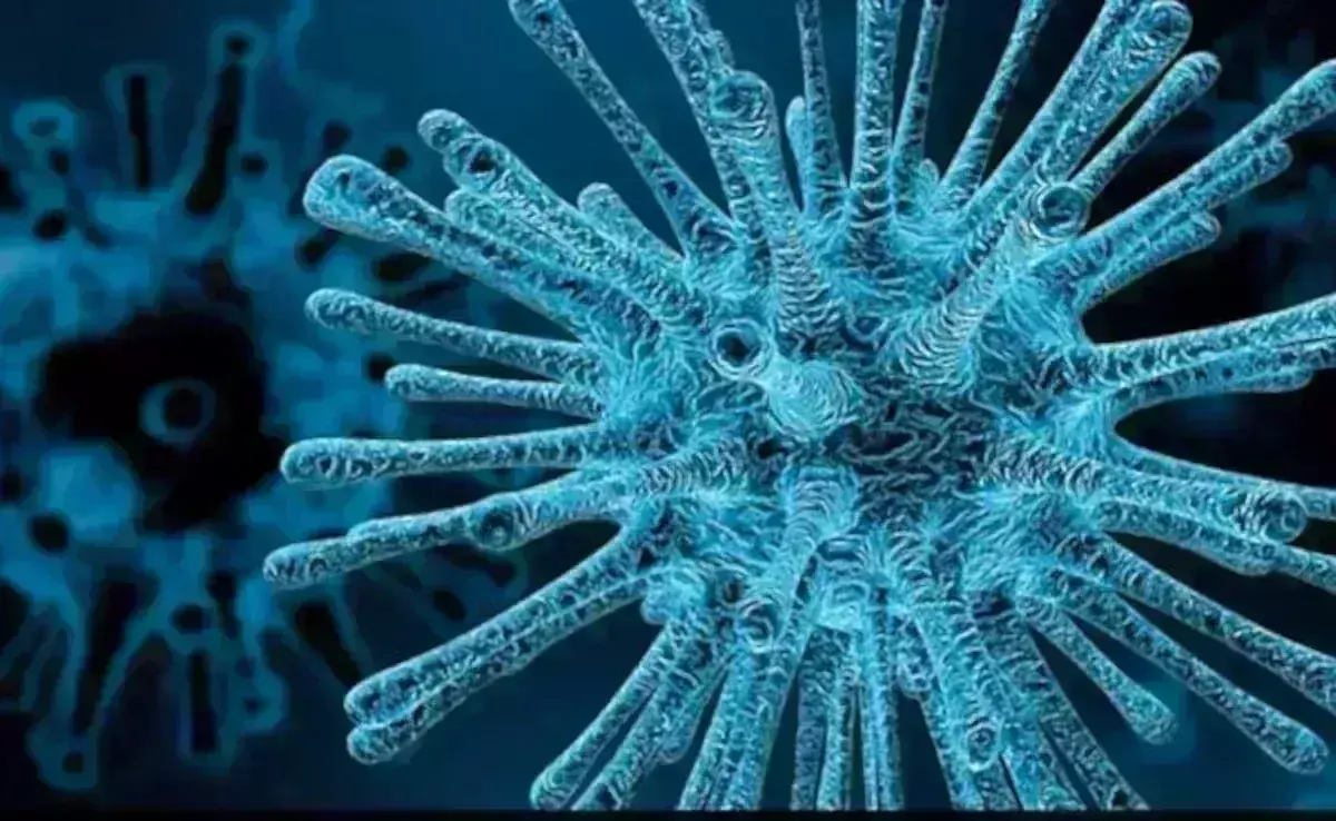 Chandipura Virus: గుజరాత్లో చాందీపురా కలవరం, మృతులు 32 మంది Chandipura Virus: గుజరాత్లో చాందీపురా కలవరం, మృతులు 32 మంది