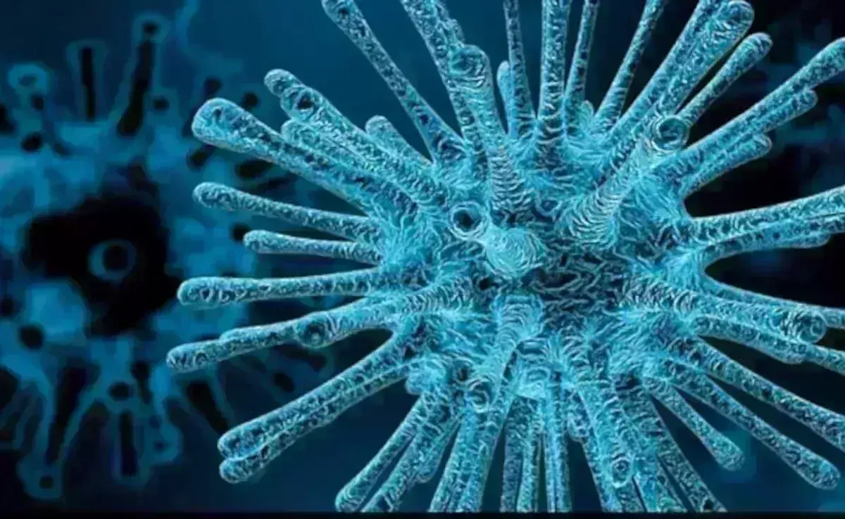 Chandipura Virus: గుజరాత్లో చాందీపురా కలవరం, మృతులు 32 మంది Chandipura Virus: గుజరాత్లో చాందీపురా కలవరం, మృతులు 32 మంది