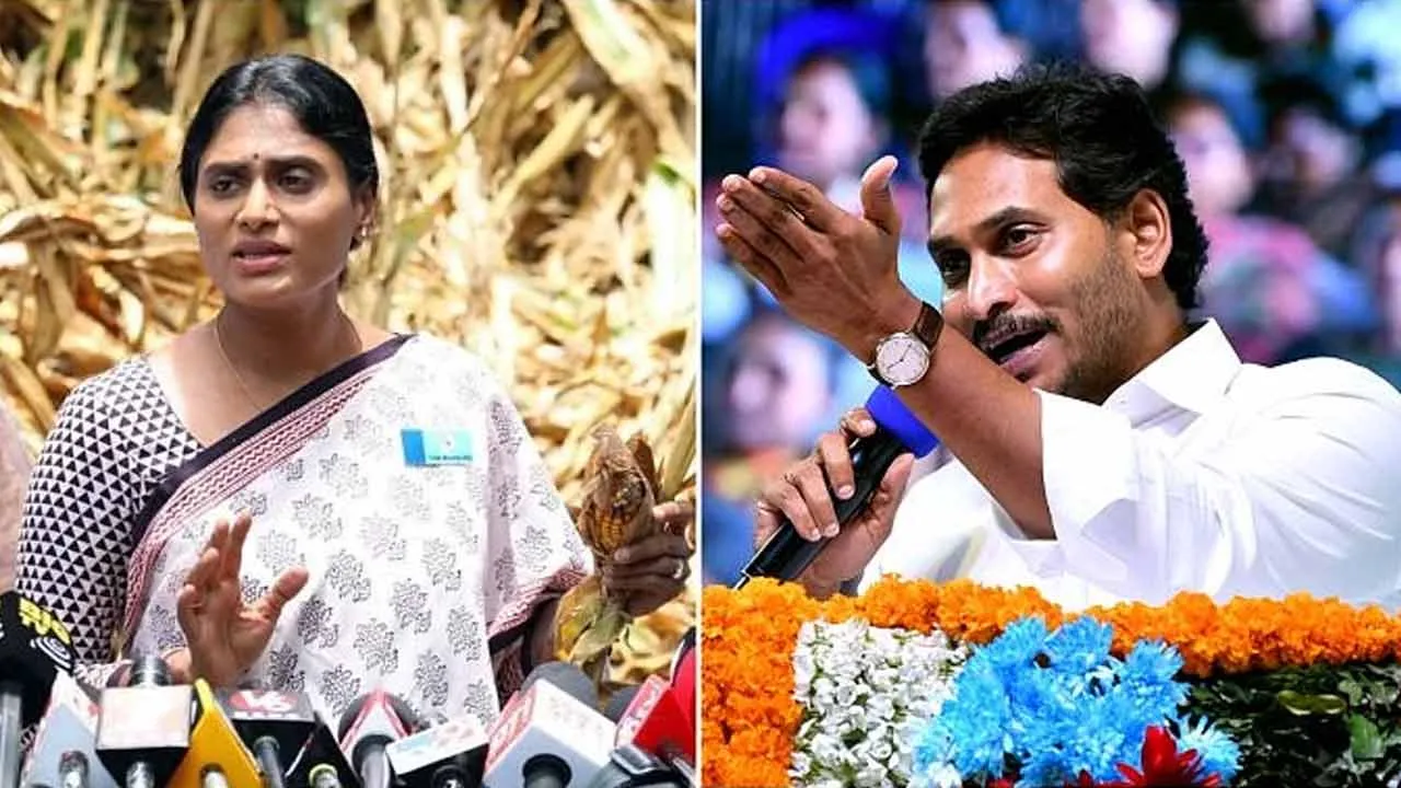 YS Sharmila vs YS Jagan : పొలిటికల్ మర్డర్ అంటూ జగన్ కలరింగ్.. షర్మిల సెటైర్లు YS Sharmila vs YS Jagan : పొలిటికల్ మర్డర్ అంటూ జగన్ కలరింగ్.. షర్మిల సెటైర్లు