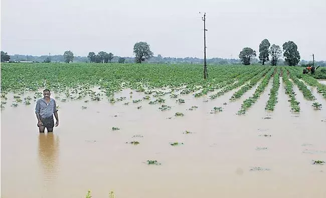 TS: తెలంగాణలో మరో రెండు రోజులు వర్షాలు