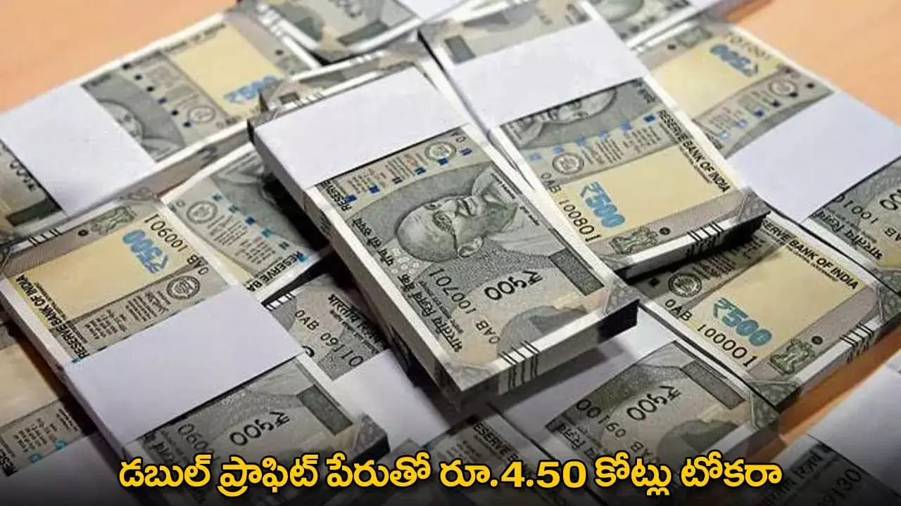 Fraud : డబుల్ ప్రాఫిట్ పేరుతో రూ.4.50 కోట్లు టోకరా