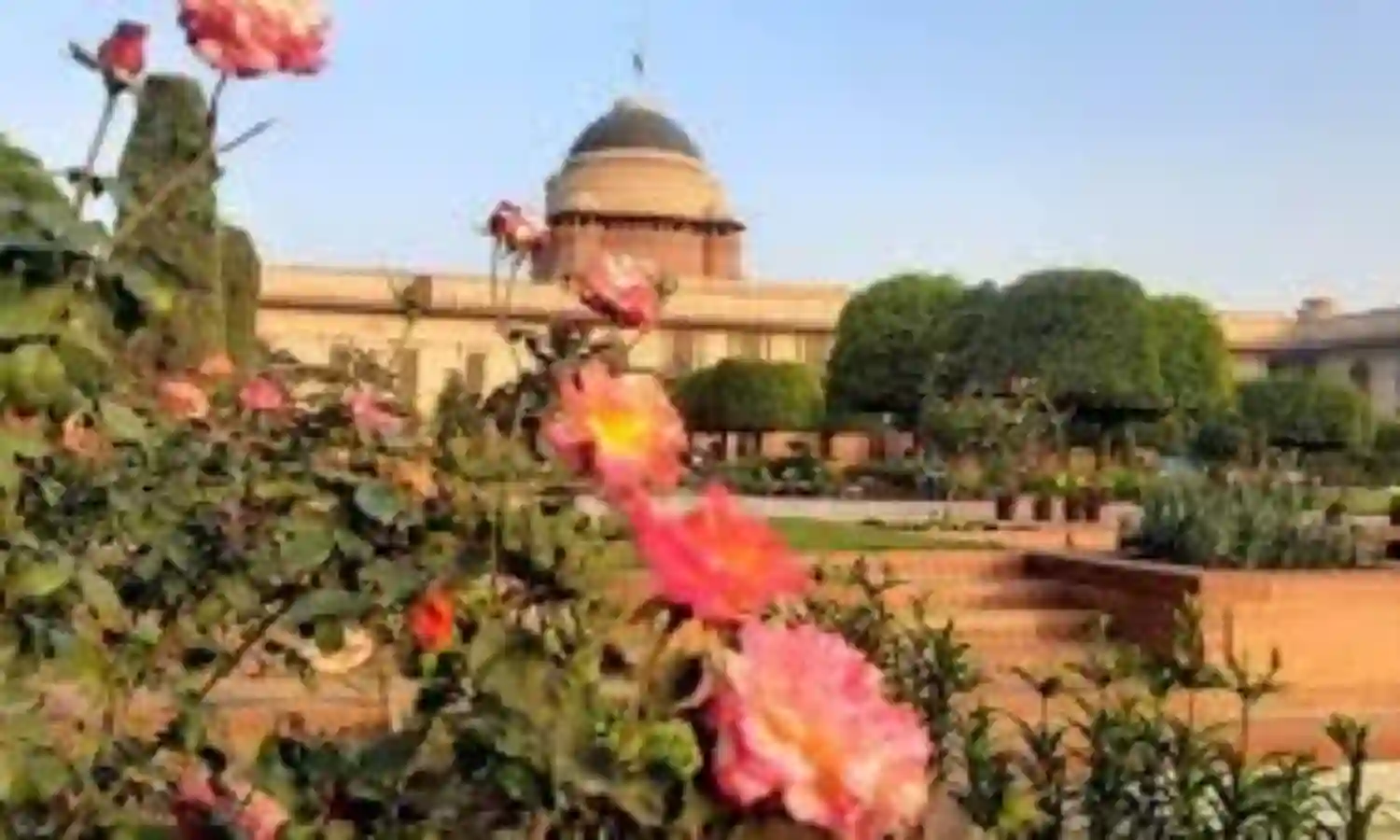 Rashtrapati Bhavan : రాష్ట్రపతి భవన్లో దర్బార్ హాల్, అశోక్ హాల్ పేర్లు మార్పు Rashtrapati Bhavan : రాష్ట్రపతి భవన్లో దర్బార్ హాల్, అశోక్ హాల్ పేర్లు మార్పు