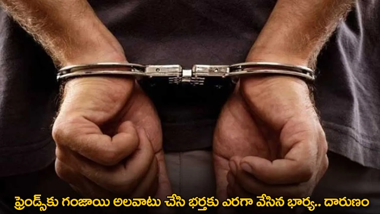 ఫ్రెండ్స్కు గంజాయి అలవాటు చేసి భర్తకు ఎరగా వేసిన భార్య.. దారుణం ఫ్రెండ్స్కు గంజాయి అలవాటు చేసి భర్తకు ఎరగా వేసిన భార్య.. దారుణం