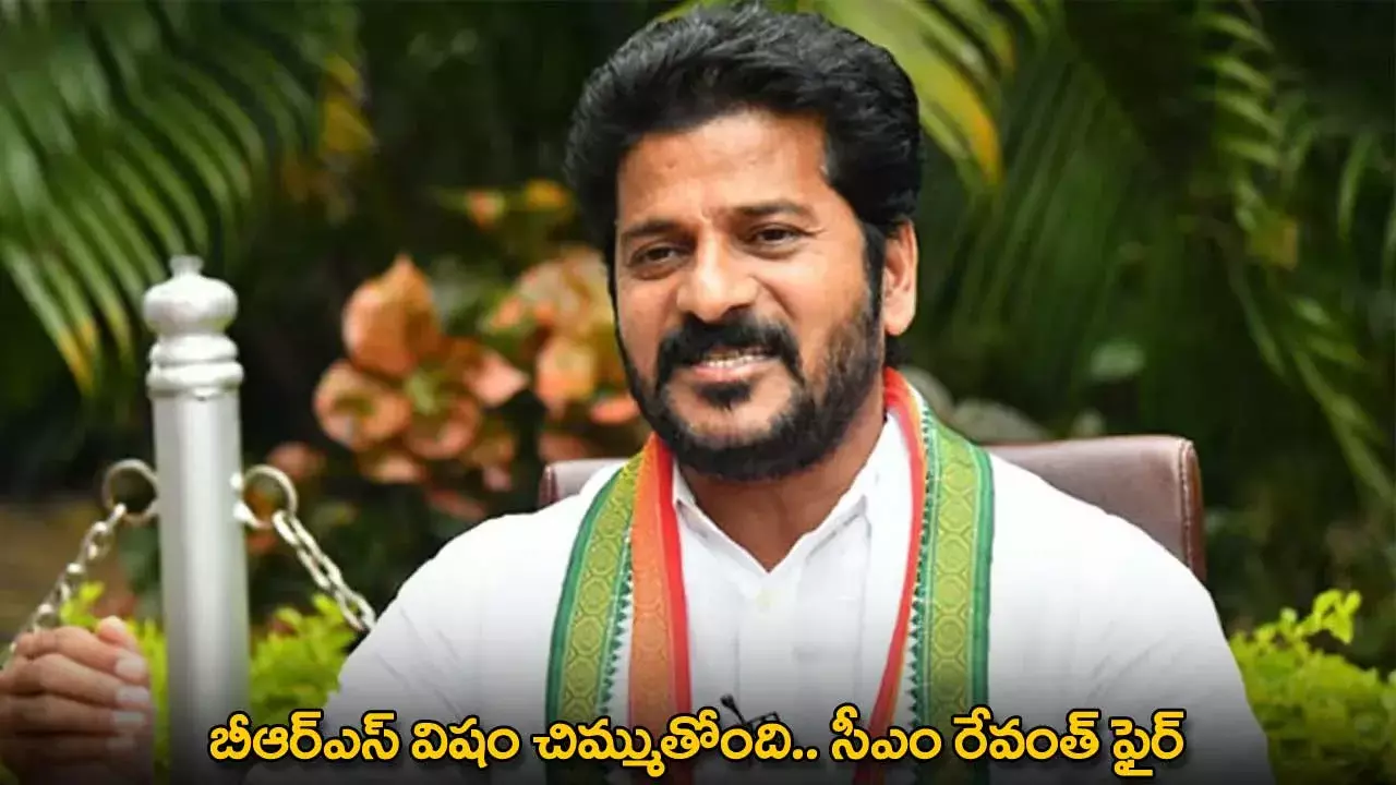 TG : బీఆర్ఎస్ విషం చిమ్ముతోంది.. సీఎం రేవంత్ ఫైర్ TG : బీఆర్ఎస్ విషం చిమ్ముతోంది.. సీఎం రేవంత్ ఫైర్