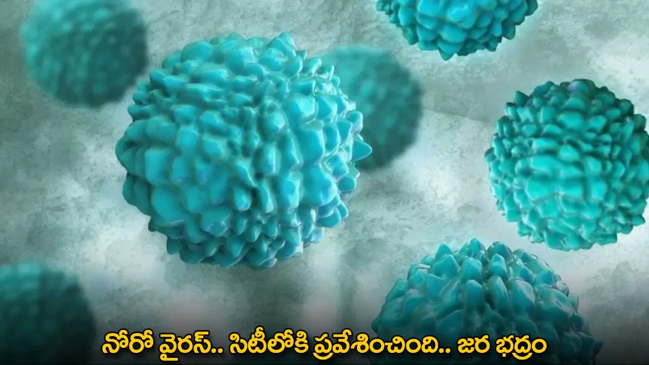 Norovirus : నోరో వైరస్.. సిటీలోకి ప్రవేశించింది.. జర భద్రం Norovirus : నోరో వైరస్.. సిటీలోకి ప్రవేశించింది.. జర భద్రం