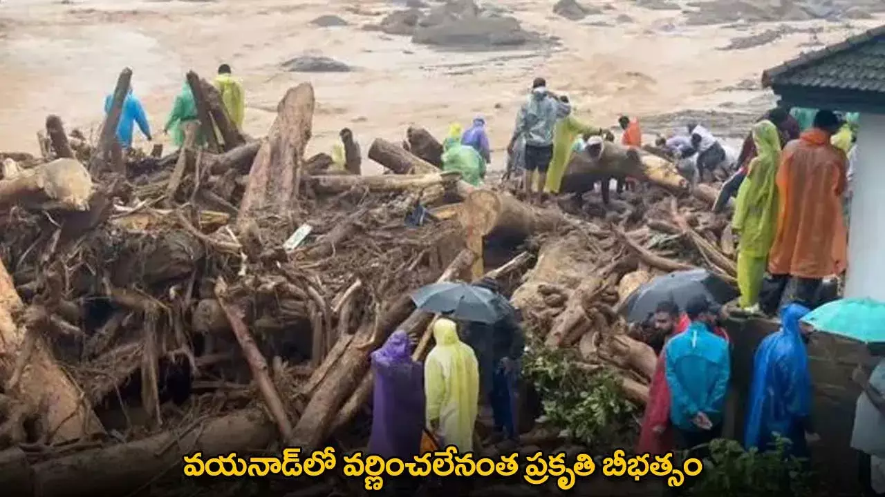 Wayanad : వయనాడ్‌లో వర్ణించలేనంత ప్రకృతి బీభత్సం