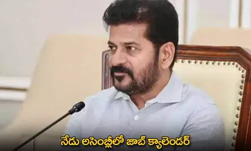 Job Calender : నేడు అసెంబ్లీలో జాబ్ క్యాలెండర్ Job Calender : నేడు అసెంబ్లీలో జాబ్ క్యాలెండర్