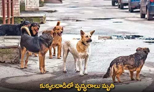 Dogs Attack : కుక్కలదాడిలో వృద్ధురాలు మృతి Dogs Attack : కుక్కలదాడిలో వృద్ధురాలు మృతి