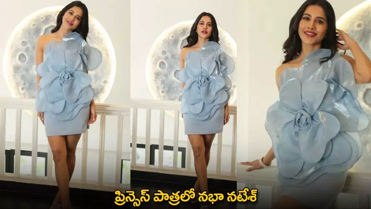 Nabha Natesh : ప్రిన్సెస్ పాత్రలో నభా నటేశ్