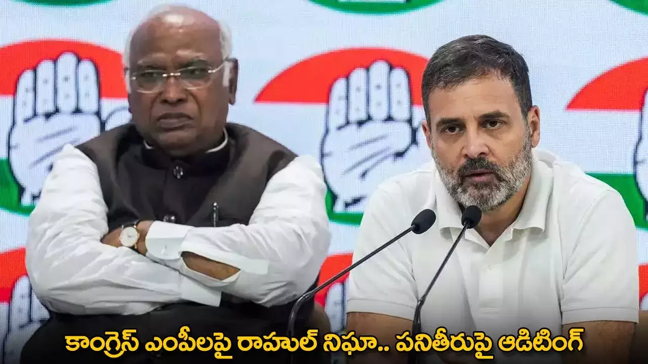 Rahul Gandhi : కాంగ్రెస్ ఎంపీలపై రాహుల్ నిఘా.. పనితీరుపై ఆడిటింగ్