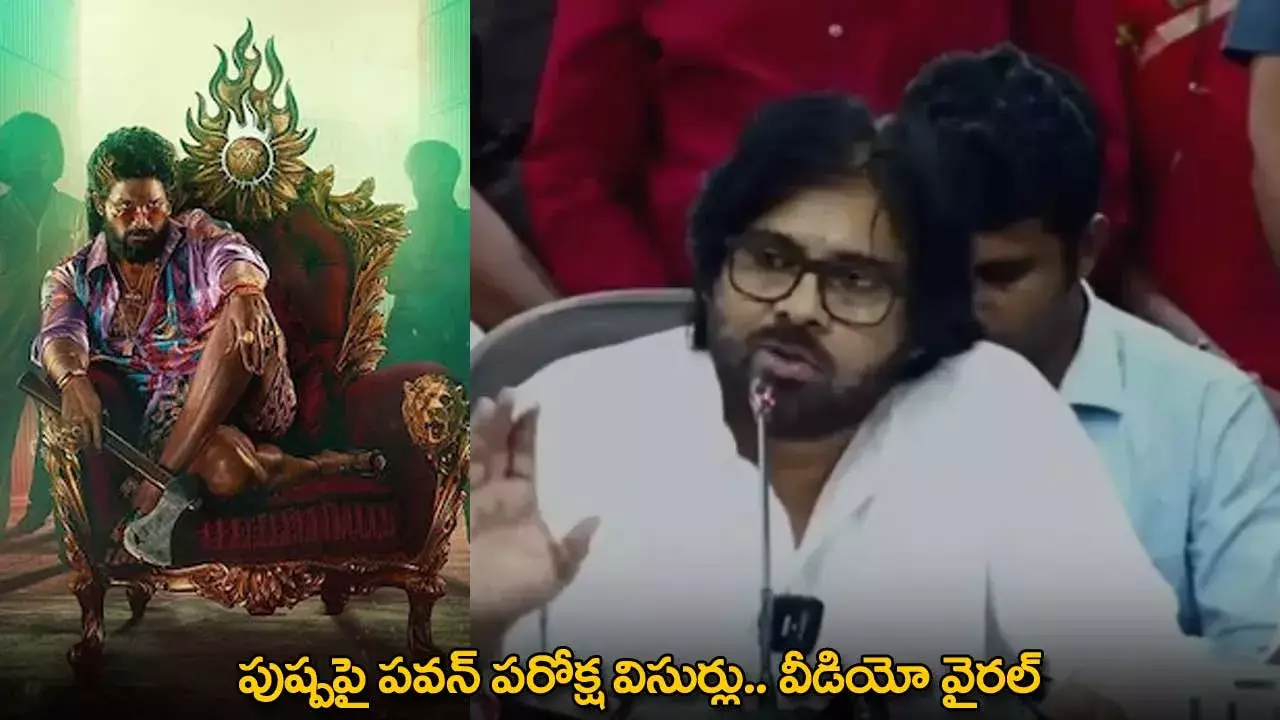 Pawan Kalyan : పుష్పపై పవన్ పరోక్ష విసుర్లు.. వీడియో వైరల్ Pawan Kalyan : పుష్పపై పవన్ పరోక్ష విసుర్లు.. వీడియో వైరల్