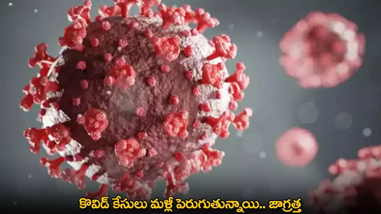 Covid Cases : కొవిడ్ కేసులు మళ్లీ పెరుగుతున్నాయి.. జాగ్రత్త: WHO