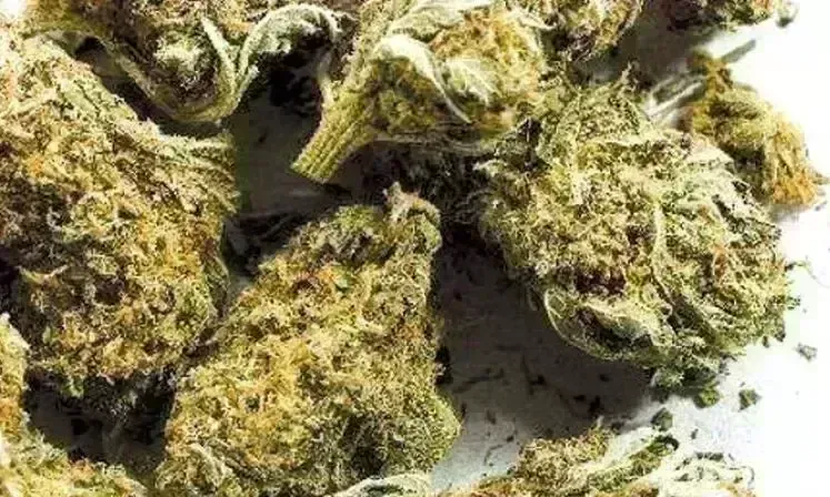 Ganja: విశాఖ నుండి తమిళనాడుకు గంజాయి అక్రమ రవాణ Ganja: విశాఖ నుండి తమిళనాడుకు గంజాయి అక్రమ రవాణ