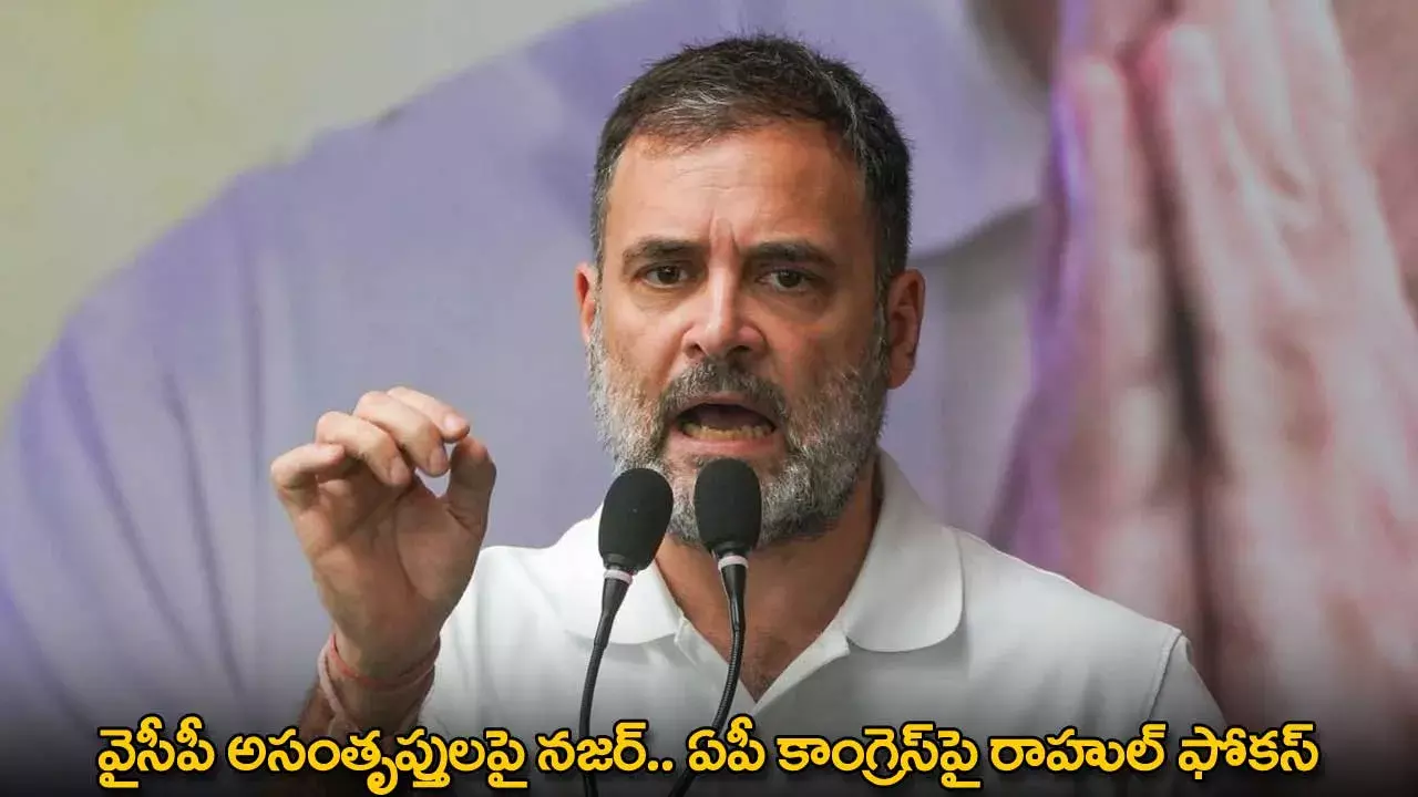 AP Congress : వైసీపీ అసంతృప్తులపై నజర్.. ఏపీ కాంగ్రెస్‌పై రాహుల్ ఫోకస్