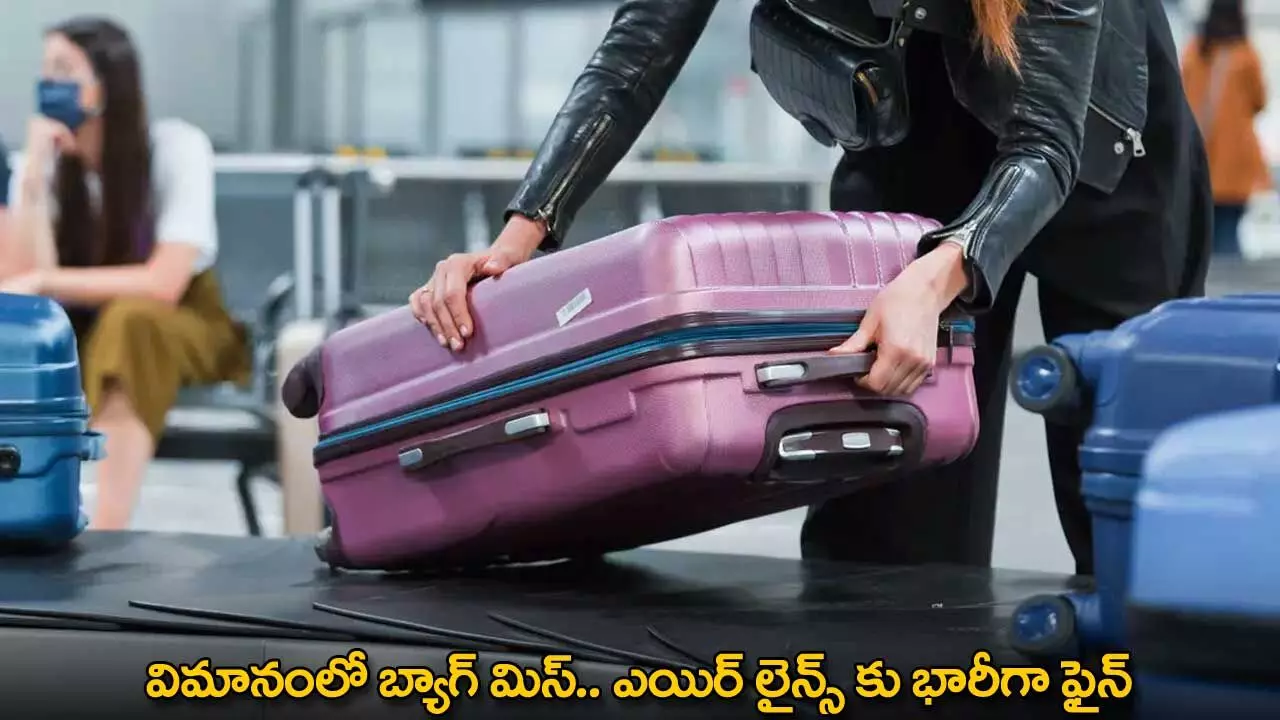 Huge Fine for Airlines : విమానంలో బ్యాగ్ మిస్.. ఎయిర్ లైన్స్ కు భారీగా ఫైన్ Huge Fine for Airlines : విమానంలో బ్యాగ్ మిస్.. ఎయిర్ లైన్స్ కు భారీగా ఫైన్