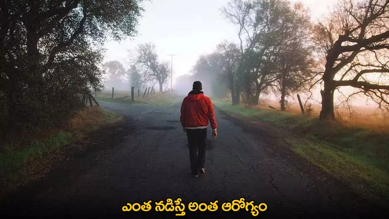 Benefits of  Walking : ఎంత నడిస్తే అంత ఆరోగ్యం Benefits of  Walking : ఎంత నడిస్తే అంత ఆరోగ్యం