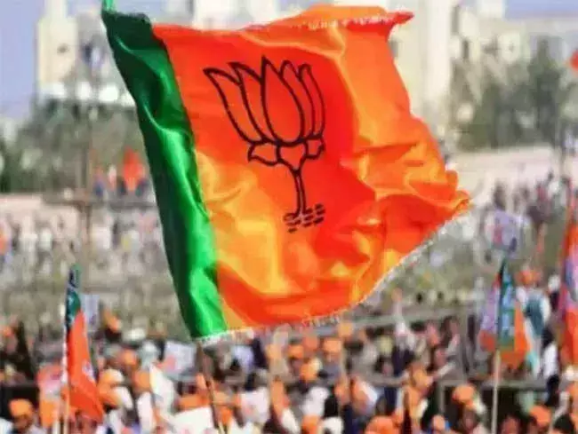 BJP: రాజ్యసభ అభ్యర్థుల్ని ప్రకటించిన బీజేపీ