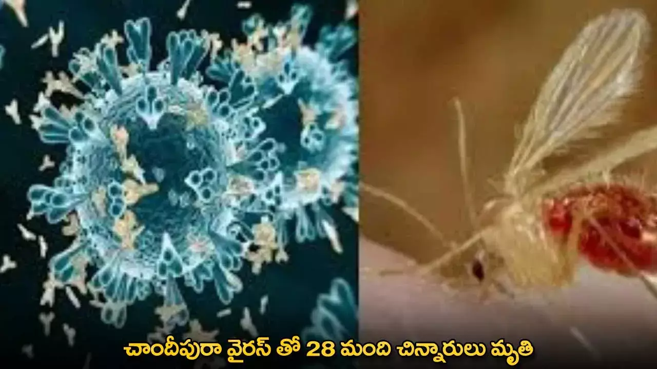 Chandipura Virus : చాందీపురా వైరస్ తో 28 మంది చిన్నారులు మృతి Chandipura Virus : చాందీపురా వైరస్ తో 28 మంది చిన్నారులు మృతి