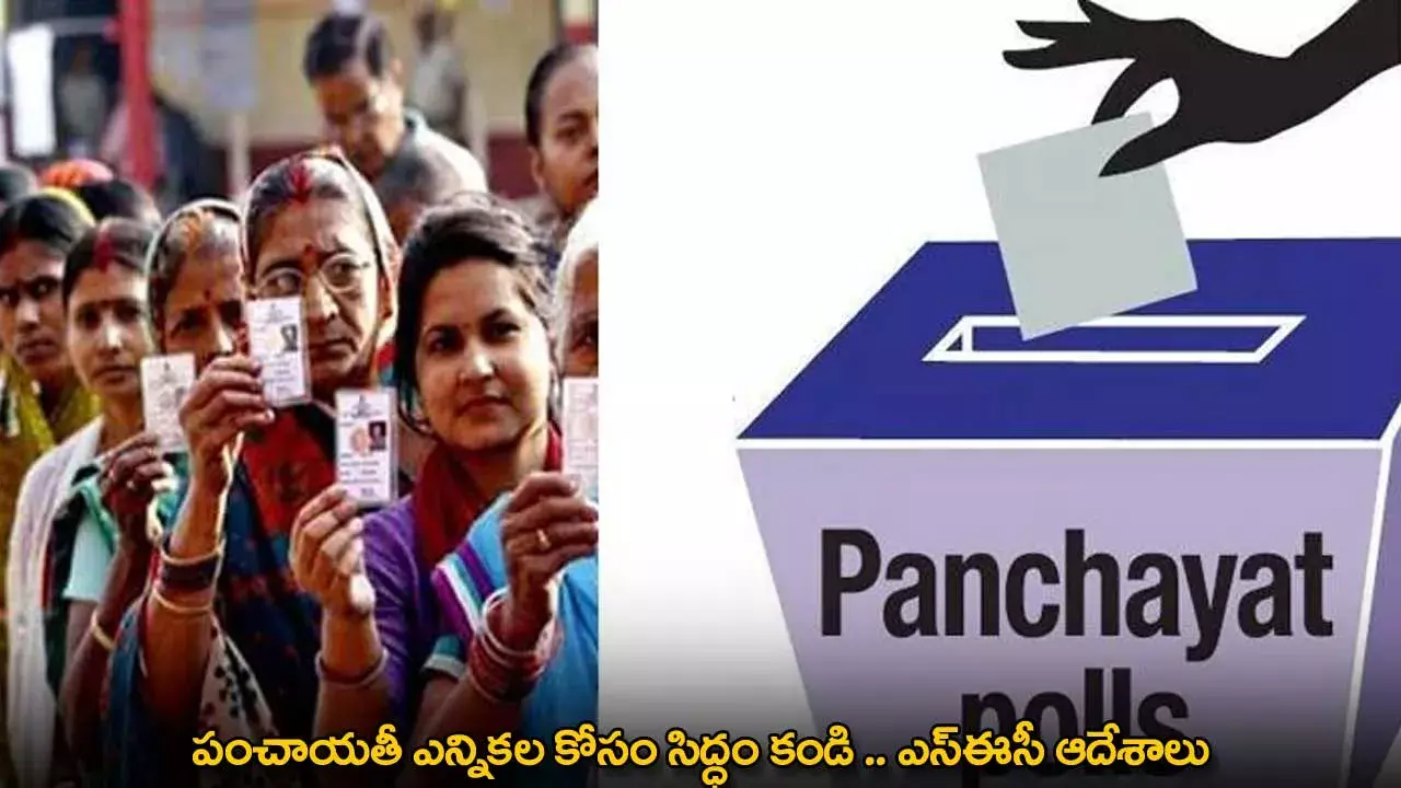 Panchayat Elections : పంచాయతీ ఎన్నికల కోసం సిద్ధం కండి .. ఎస్ఈసీ ఆదేశాలు