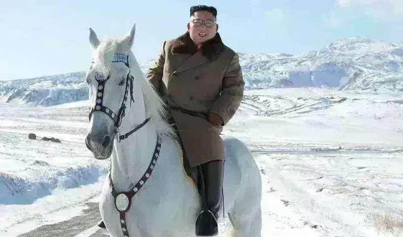 Putin-Kim: కిమ్కు పుతిన్ కానుకగా 24 గుర్రాలు Putin-Kim: కిమ్కు పుతిన్ కానుకగా 24 గుర్రాలు