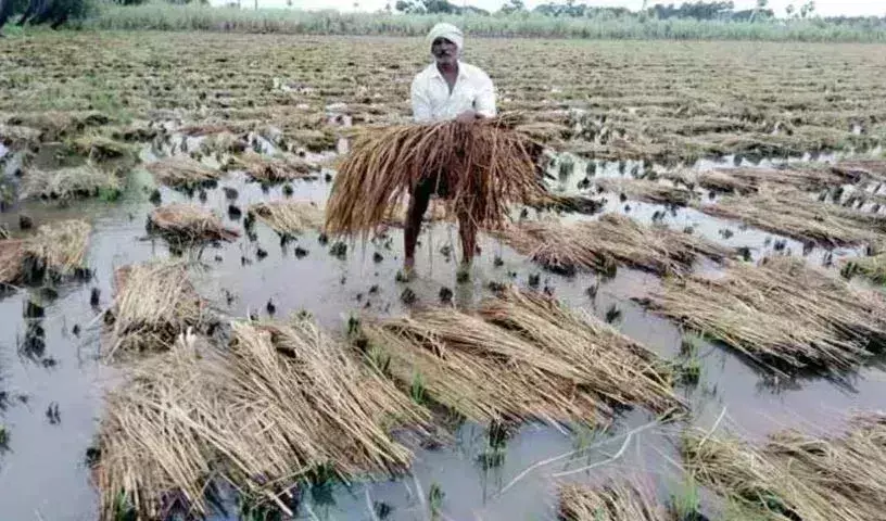 Telangana  News : పంటనష్టం రూ.415 కోట్లు