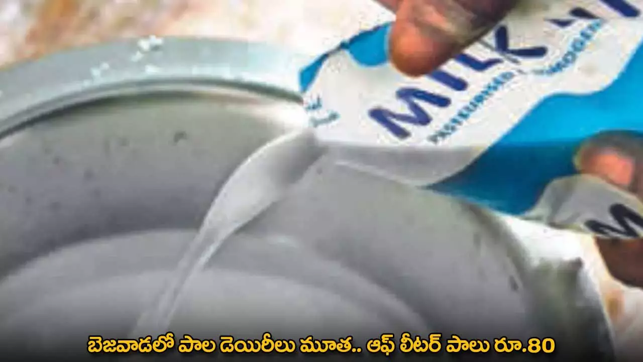 Vijayawada : బెజవాడలో పాల డెయిరీలు మూత.. ఆఫ్ లీటర్ పాలు రూ.80 Vijayawada : బెజవాడలో పాల డెయిరీలు మూత.. ఆఫ్ లీటర్ పాలు రూ.80