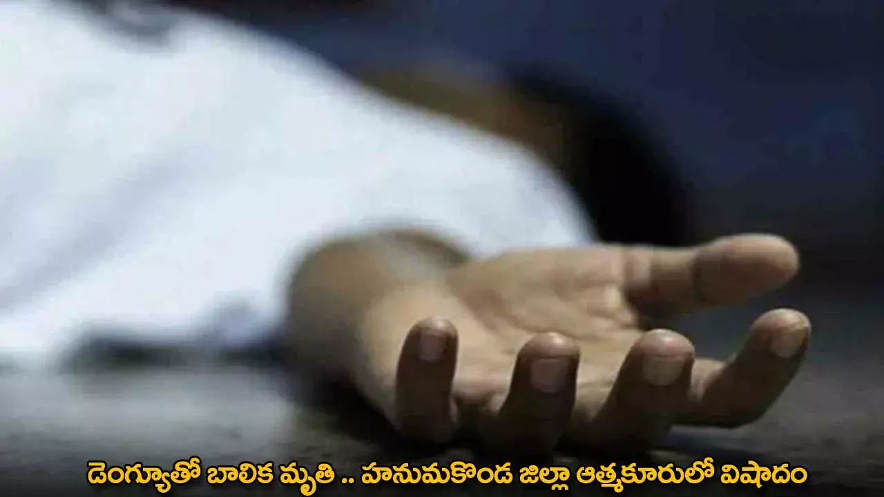 Dengue : డెంగ్యూతో బాలిక మృతి .. హనుమకొండ జిల్లా ఆత్మకూరులో విషాదం