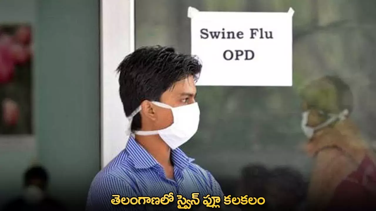 Swine Flu : తెలంగాణలో స్వైన్ ఫ్లూ కలకలం