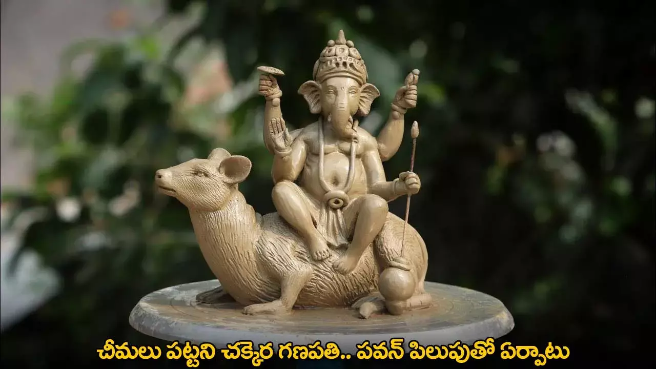 Sugar Ganesha : చీమలు పట్టని చక్కెర గణపతి.. పవన్ పిలుపుతో ఏర్పాటు Sugar Ganesha : చీమలు పట్టని చక్కెర గణపతి.. పవన్ పిలుపుతో ఏర్పాటు