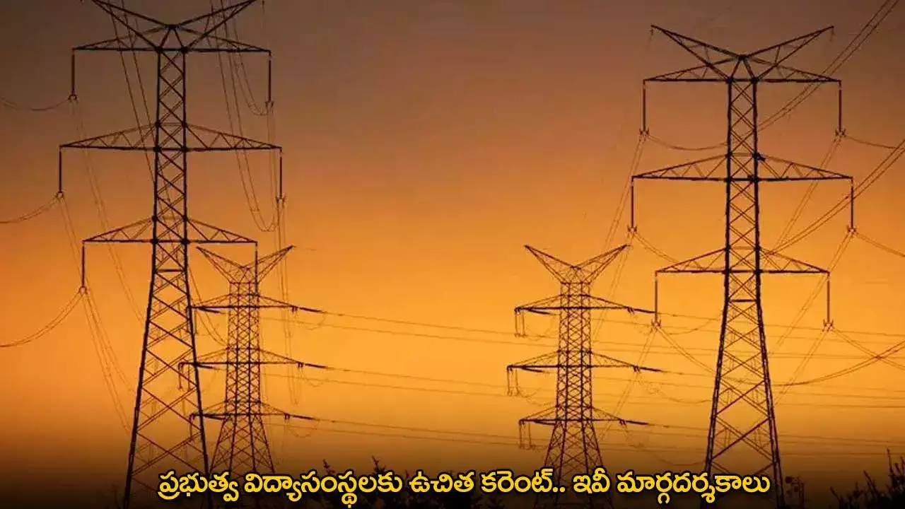 Free Electricity : ప్రభుత్వ విద్యాసంస్థలకు ఉచిత కరెంట్.. ఇవీ మార్గదర్శకాలు Free Electricity : ప్రభుత్వ విద్యాసంస్థలకు ఉచిత కరెంట్.. ఇవీ మార్గదర్శకాలు