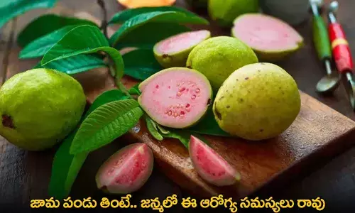Guava : జామ పండు తింటే.. జన్మలో ఈ ఆరోగ్య సమస్యలు రావు Guava : జామ పండు తింటే.. జన్మలో ఈ ఆరోగ్య సమస్యలు రావు