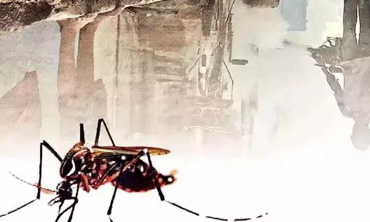 Bihar: పెరుగుతున్న డెంగ్యూ కేసులు.. 24 గంటల్లో 56 కేసులు నమోదు..