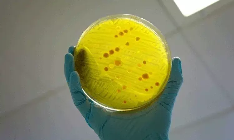 ఇన్ఫెక్షన్ల 2050 నాటికి ప్రపంచవ్యాప్తంగా 39 కోట్ల మరణాలు.. పరిశోధనలు వెల్లడి ఇన్ఫెక్షన్ల 2050 నాటికి ప్రపంచవ్యాప్తంగా 39 కోట్ల మరణాలు.. పరిశోధనలు వెల్లడి