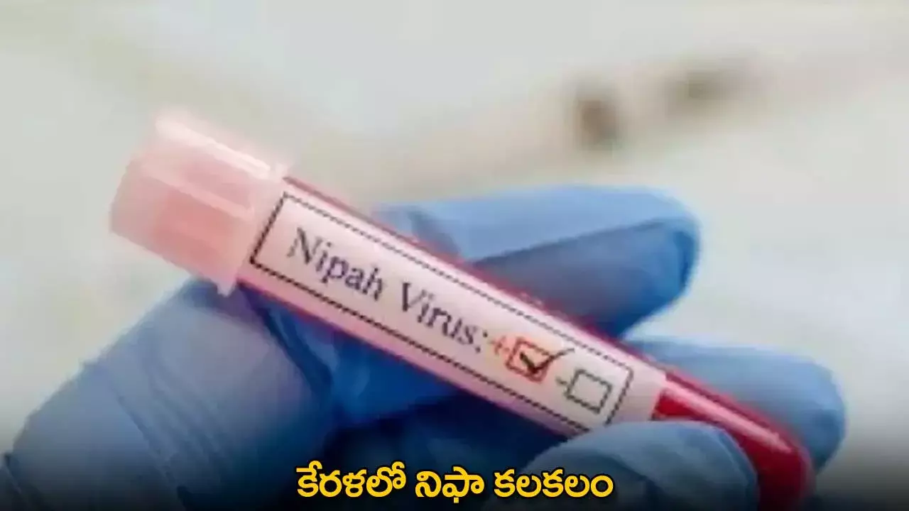 Kerala : కేరళలో నిఫా కలకలం Kerala : కేరళలో నిఫా కలకలం