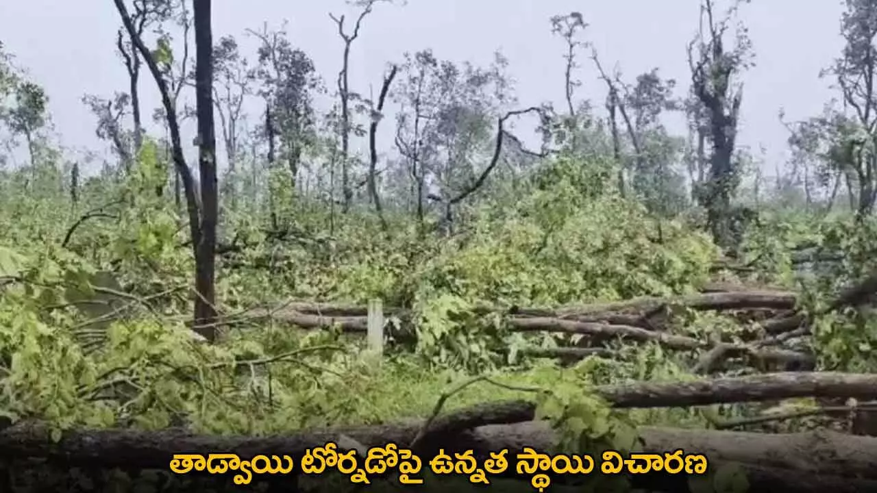 Tadwai Tornado Incident : తాడ్వాయి టోర్నడోపై ఉన్నత స్థాయి విచారణ Tadwai Tornado Incident : తాడ్వాయి టోర్నడోపై ఉన్నత స్థాయి విచారణ