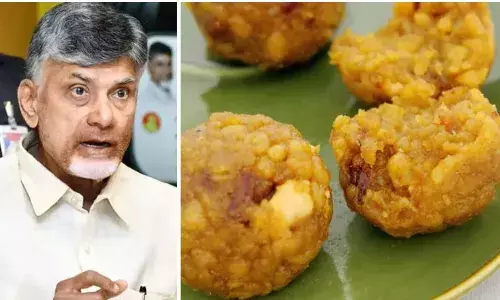 AP: తిరుపతి లడ్డు ప్రసాదంపై సీఎం మళ్లీ సంచలన వ్యాఖ్యలు AP: తిరుపతి లడ్డు ప్రసాదంపై సీఎం మళ్లీ సంచలన వ్యాఖ్యలు