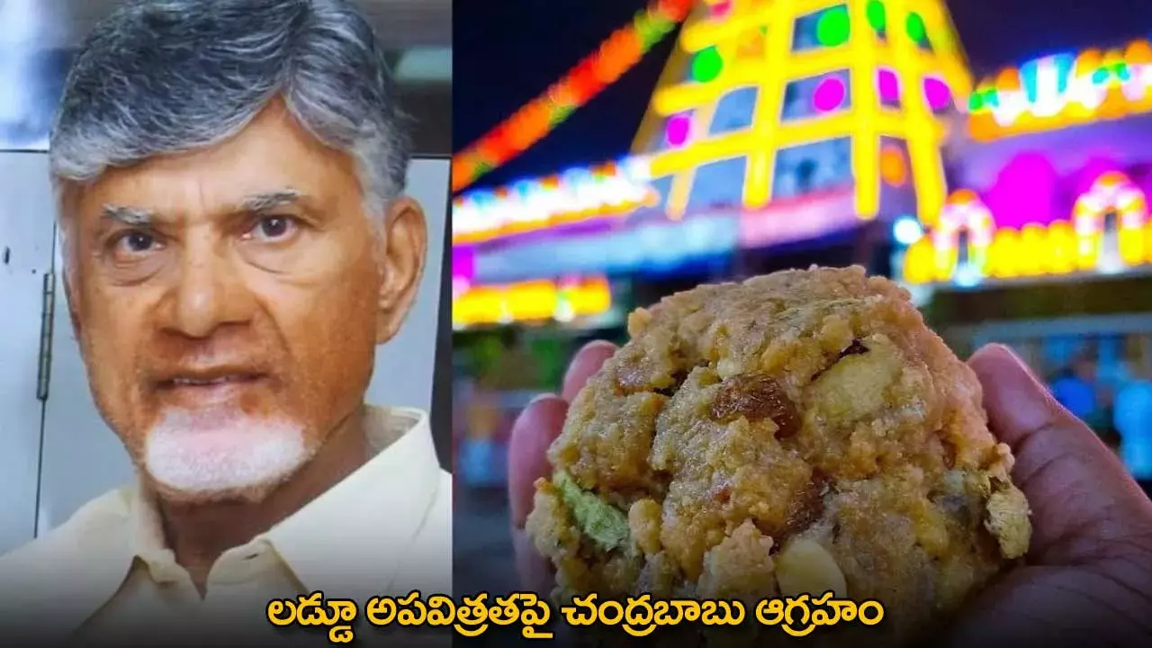 CM Chandrababu : లడ్డూ అపవిత్రతపై చంద్రబాబు ఆగ్రహం CM Chandrababu : లడ్డూ అపవిత్రతపై చంద్రబాబు ఆగ్రహం
