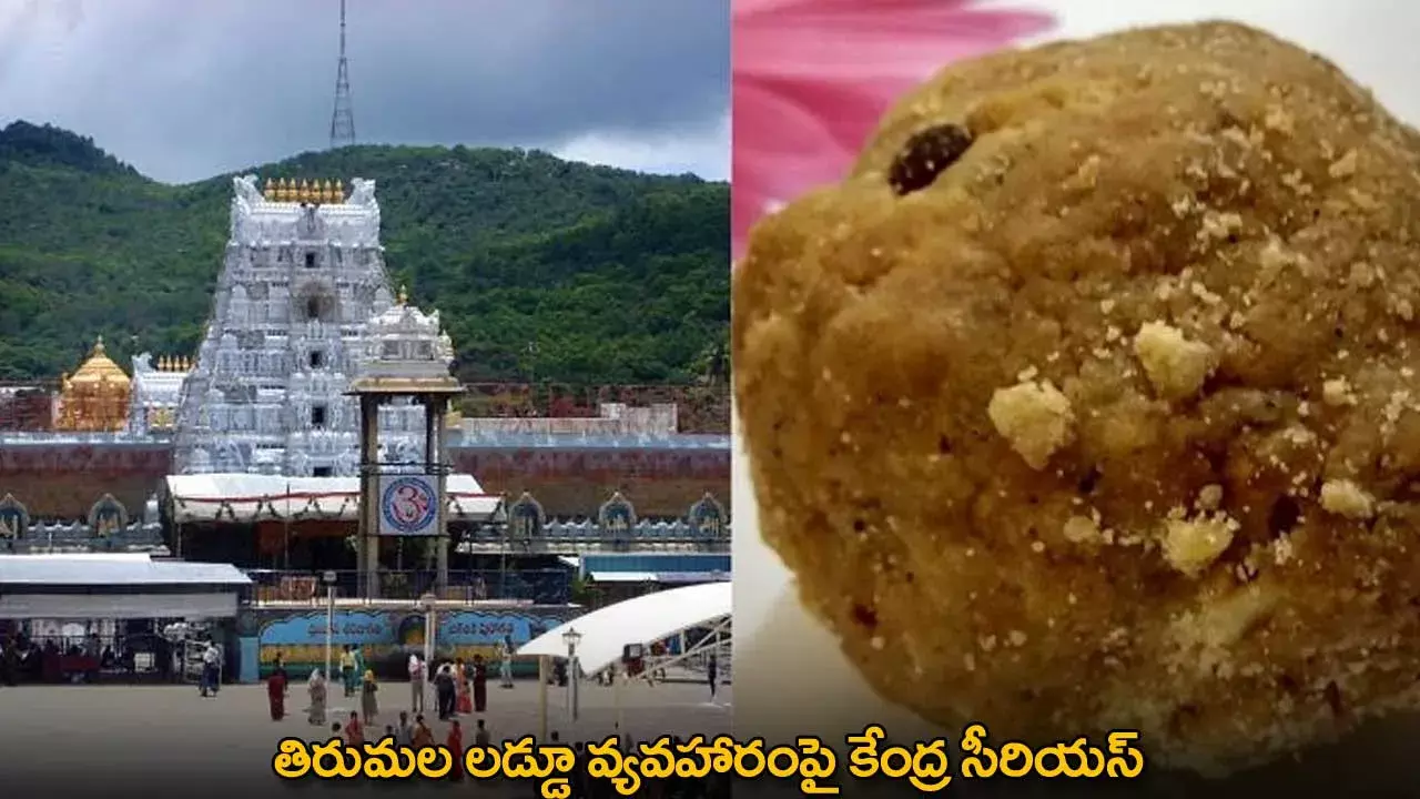 TTD : తిరుమల లడ్డూ వ్యవహారంపై కేంద్ర సీరియస్