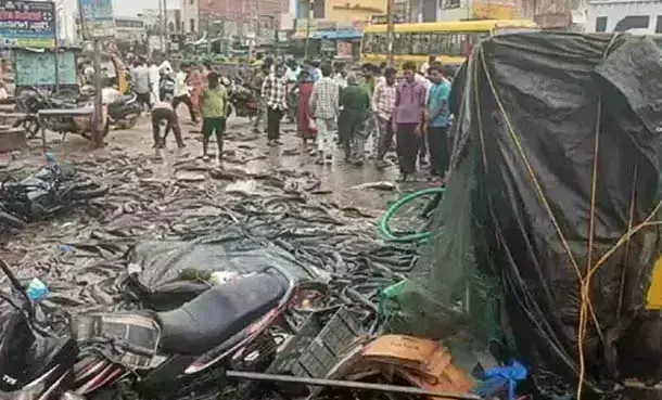 Fish Lorry: చేపల లారీ బోల్తా.. ఎగబడి ఏరుకున్న జనం..