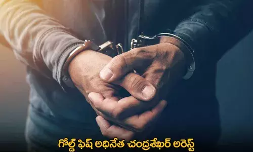 Gold Fish : గోల్డ్ ఫిష్ అధినేత చంద్రశేఖర్ అరెస్ట్