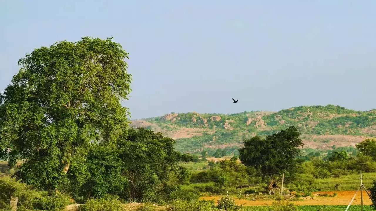 Telangana : తెలంగాణకు 2 జాతీయ అవార్డులు Telangana : తెలంగాణకు 2 జాతీయ అవార్డులు