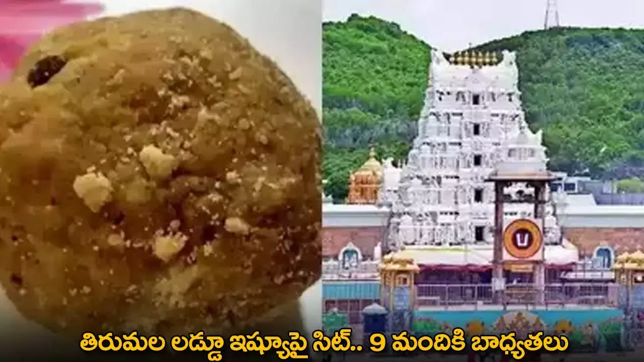 Tirumala Laddu Controversy : తిరుమల లడ్డూ ఇష్యూపై సిట్.. 9 మందికి బాధ్యతలు Tirumala Laddu Controversy : తిరుమల లడ్డూ ఇష్యూపై సిట్.. 9 మందికి బాధ్యతలు