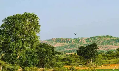 Telangana : తెలంగాణకు 2 జాతీయ అవార్డులు