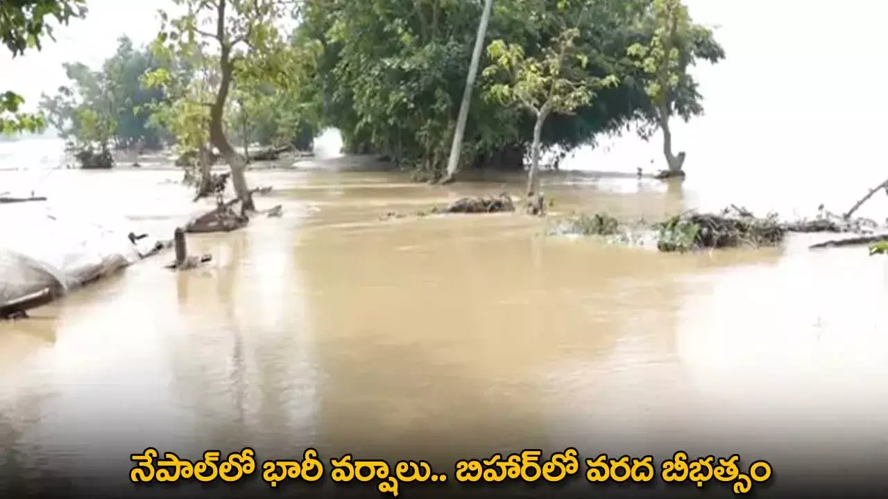 Nepal Floods : నేపాల్‌లో భారీ వర్షాలు.. బిహార్‌లో వరద బీభత్సం