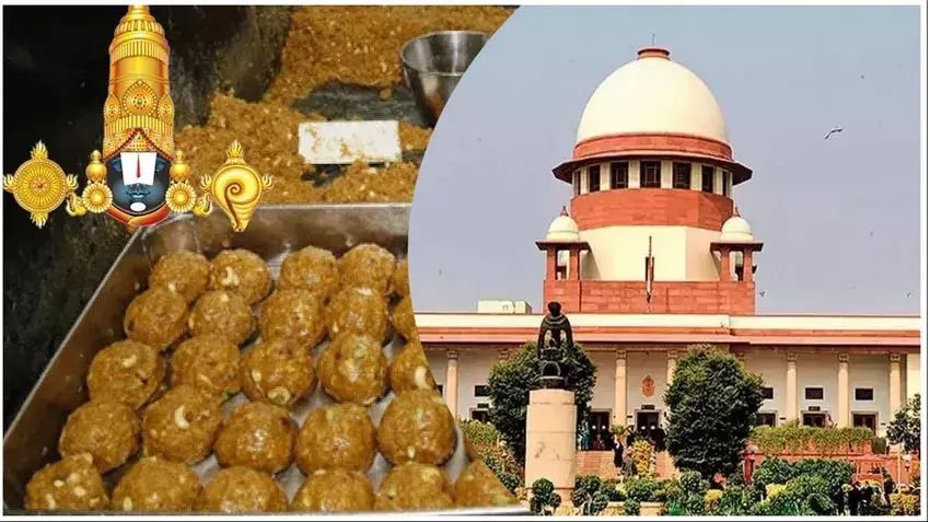 SC: లడ్డూ వివాదంపై నేడు సుప్రీంకోర్టులో విచారణ SC: లడ్డూ వివాదంపై నేడు సుప్రీంకోర్టులో విచారణ