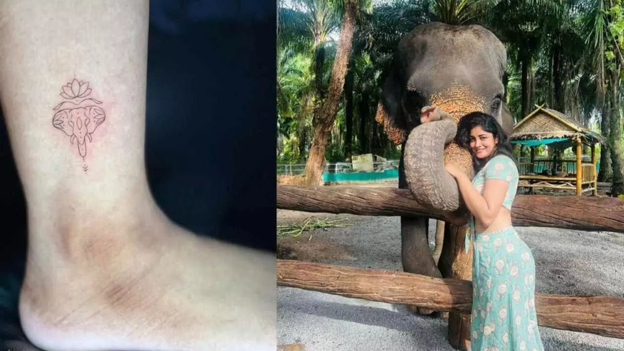 Dimple Hayati : ఏనుగు టాటూతో గ్లామర్ బ్యూటీ Dimple Hayati : ఏనుగు టాటూతో గ్లామర్ బ్యూటీ