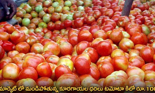 Tomatoes Price : మార్కెట్ లో మండిపోతున్న కూరగాయల ధరలు టమోటా కిలో రూ.100 Tomatoes Price : మార్కెట్ లో మండిపోతున్న కూరగాయల ధరలు టమోటా కిలో రూ.100